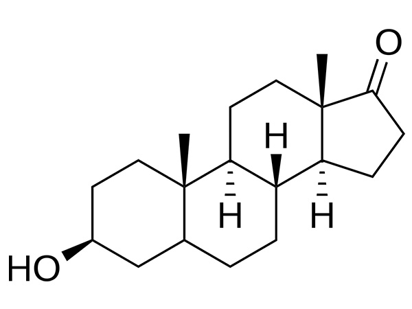 Unlocking the Potential: Health Benefits and Therapeutic Uses of Epiandrosterone